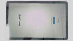 Samsung Galaxy Tab S6 Lite SM-P613 10.4" Tablet (Gray 64GB 4GB) WiFi BROWNLCD