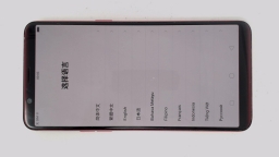 Oppo R11s Cellphone (Red 64GB 4GB) Unknown Carrier DualSIM WORN