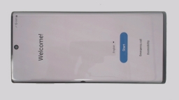 Samsung Galaxy Note 10 SM-N970U (Pink 256GB 8GB) Unlocked BLACK SPOT