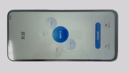 Honor X10 TEL-AN00A Cellphone (Blue 128GB 8GB) Unknown Carrier CRACKED