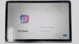 Lenovo Tab Plus TB351FU 11.5" Tablet (Gray 256GB 8GB) WiFi CRACKED/BROWN LCD