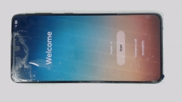 Samsung Galaxy S21+ 5G SM-G996U (Black 128GB 8GB) Spectrum CRACKED/BURN IN