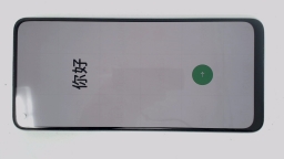 Oppo A96 PFUM10 Cellphone (Prism 256GB 8GB) Unknown Carrier DualSIM