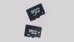 Lot of 2 - 1GB Micro SD Memory Card