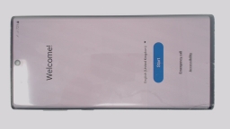Samsung Galaxy Note10 SM-N970F/DS (Gray 256GB 8GB) Unknown Carrier CRACKED